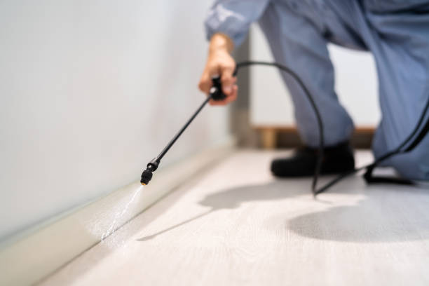 Licensed Ant Control service in Desert Aire, WA - Show Me Pest Control