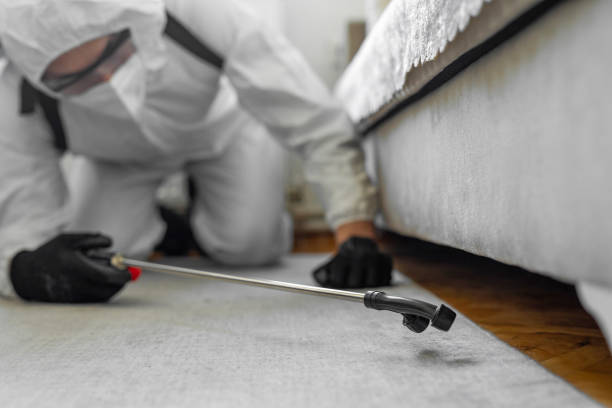 Professional Ant Control technician working in Desert Aire, WA